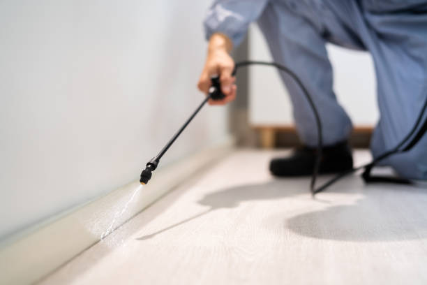 Licensed Cockroach Control service in Rocky Mount, NC - Nex Pest Control