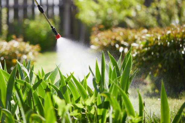 24/7 Emergency Cockroach Control experts in Rocky Mount, NC