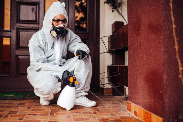 Reliable Cockroach Control contractor in Rocky Mount, NC by Nex Pest Control